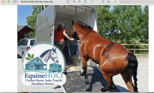 Horse Getting in Clean Trailer