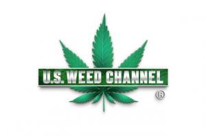 A weed leaf logo for a cannabis media channel