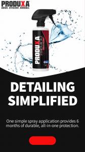 the all-in-one detailing spray