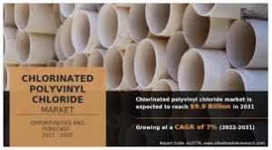 Chlorinated Polyvinyl Chloride Market Application