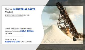 Industrial Salts Market Application