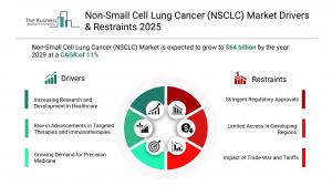 Non-small cell lung cancer Market Size