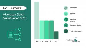 Microalgae Global Market Report 2025_Segment