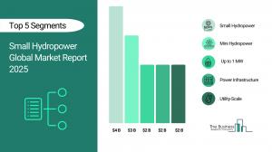 Small Hydropower Global Market Report 2025_Segment