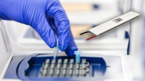 Elongated PCX Thermoelectric Cooler for PCR Applications