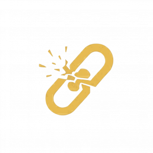 Process First Network logo - Founder liberation from operational dependency.