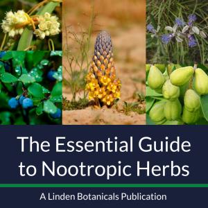 Whether you’re hoping to support healthy aging, sharpen mental clarity, or approach focus and motivation more holistically, we hope The Essential Guide to Nootropic Herbs empowers you to explore herbal nootropics with confidence.
