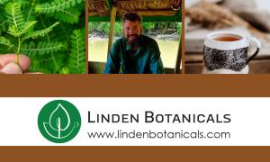 Linden Botanicals believes plant-based wellness should be grounded in science, rooted in nature, and guided by integrity at every step. Our passion is simple: to bring you the world’s most beneficial herbal teas and extracts—sourced with intention, crafte