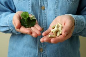 organic kratom in texas