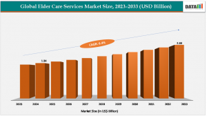 Elder Care Services Market