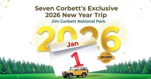 New Year Celebration