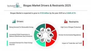 Biogas Market Size