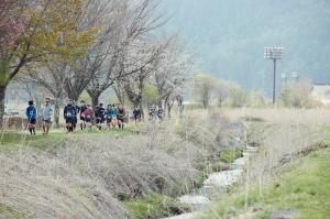 Running under "Sakura" Cherry Blossoms.