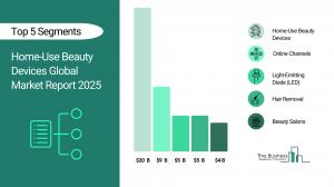 Home-Use Beauty Devices Global Market Report 2025_Segments