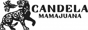 Candela Mamajuana Logo