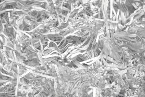 Professional paper shredding