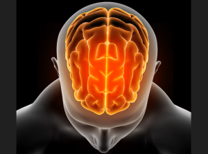 BrainTap guided meditation Canada