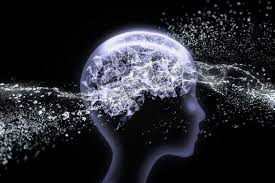 BrainTap journeys in Alberta, Canada