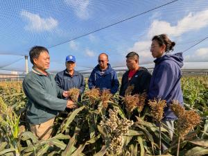 A local farmer demonstrating low-disturbance sorghum farming techniques that enhance soil carbon storage and protect the surrounding ecosystem.