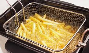 Global Potato Fryers Market