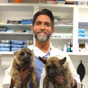 Dr. Steve Silberman, at his practice of in home pet euthanasia in Pottstown, PA and the surrounding communities.