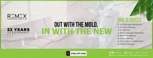 Remex USA, a locally owned mold remediation and restoration company in NYC