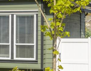 Vinyl fence and gate next to a home and a tree.