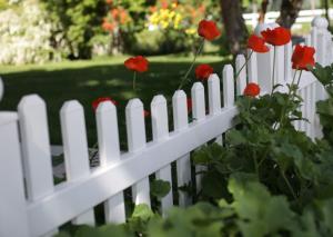 Fence next to bushes and flowers.