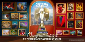 2025 New York Photography Awards Full Results Announced