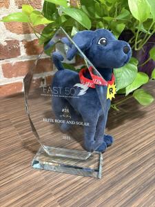 Elite Roof and Solar's award shows that it ranks 24th on the list of Charlotte's 50 fastest growing private companies.  The award is shown with Roofus, the Elite Roof and Solar mascot