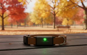 PawPulse smart dog collar sitting on a wooden table with autumn leaves in the background, featuring a glowing LED status light.
