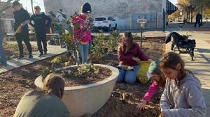 Community volunteers planting fall bulbs together at Aly’s Garden in Goldsboro, North Carolina, a memorial garden created in honor of a young girl who loved wildflowers, including yellow daffodils.