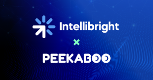 Intellibright & Peakaboo Team Up With Performance Marketing & AI Search Visibility