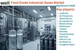 Food Grade Industrial Gases Market