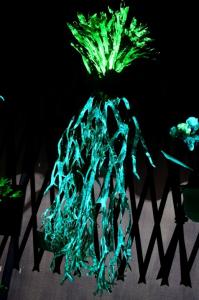 Night-glowing staghorn fern highlighting carbon sequestration effect