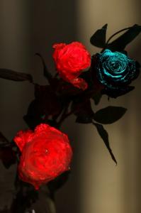 Roses and eustoma flowers glowing at night while enhancing carbon capture