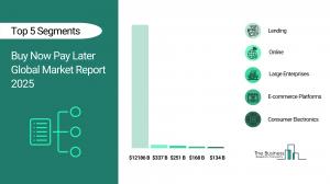 Buy Now Pay Later Global Market Report 2025_Segments.webp