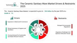 The Ceramic Sanitary Ware Market