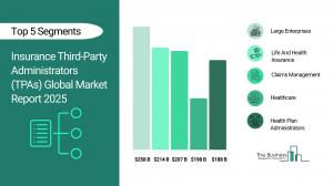 Insurance Third-Party Administrators (TPAs) Global Market Report 2025_Segments.webp