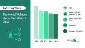 The Mental Wellness Global Market Report 2025_Segments.webp