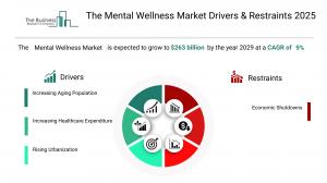 The Mental Wellness Global Market Report 2025_Drivers.webp