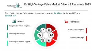 EV High Voltage Global Market Report 2025 – Market Size, Trends, And Forecast 2025-2034