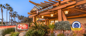 Exterior of Best Western Plus hotel, featuring a welcoming entrance surrounded by palm trees and lush greenery, with a certification badge visible.