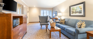 A cozy living area featuring a blue sofa, a wooden entertainment unit, a chair, and bright natural light from the windows.