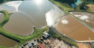 XPEL food processing facility case study