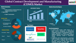 Contract Development and Manufacturing Organization (CDMO) Market