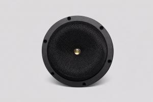 DC GOLD black waterproof full-range marine speaker with single-cone, spiderless design
