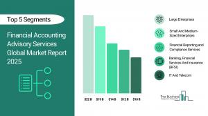 Financial Accounting Advisory Services Global Market Report 2025 – Market Size, Trends, And Forecast 2025-2034