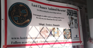 Last Chance Animal Rescue