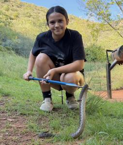 A child crouching outdoors using a snake hook to handle a snake during a supervised wildlife education experience.